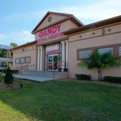Gandy Animal Hospital's exterior shot of their front building.